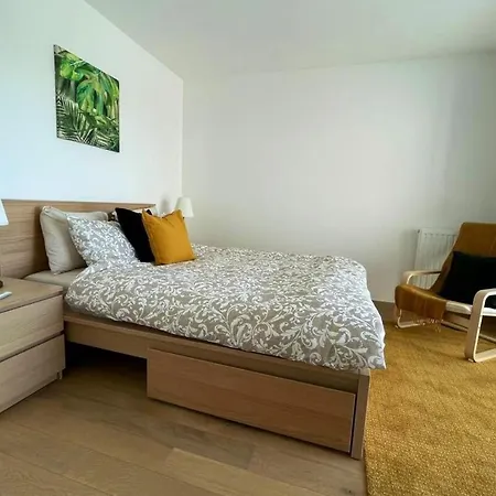 شقة Apparte - Proche Geneve Et Palexpo فيرني-فولتير، أين